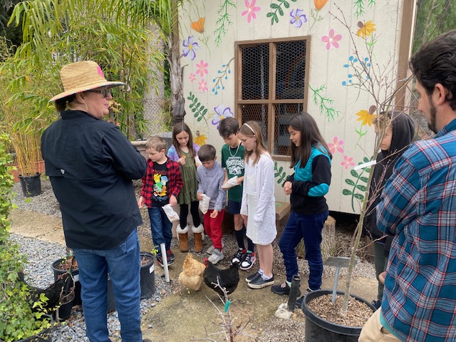 The Sunday School met the most famous residents at the mission hills nursery - the chickens!