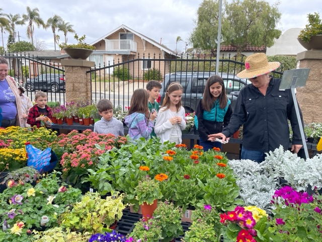 A mass of spring flowers.